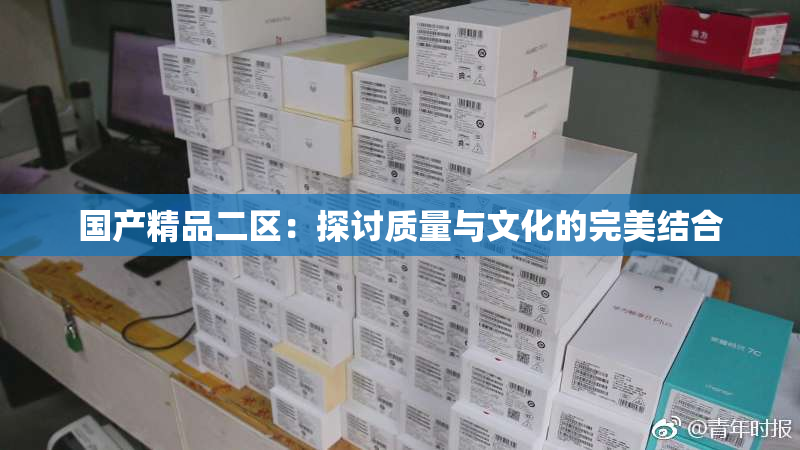 国产精品二区：探讨质量与文化的完美结合