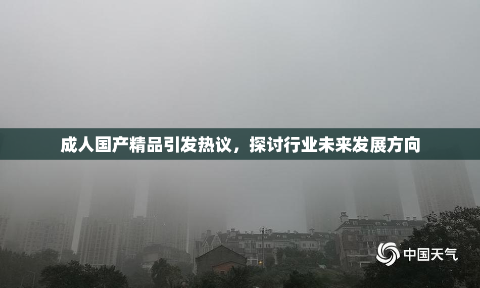 成人国产精品引发热议，探讨行业未来发展方向