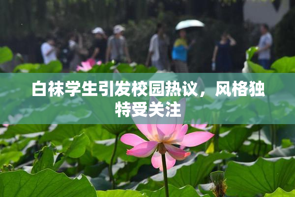 白袜学生引发校园热议，风格独特受关注