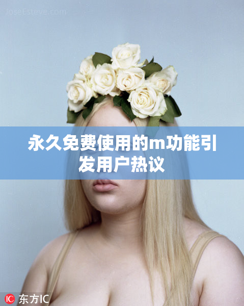 永久免费使用的m功能引发用户热议
