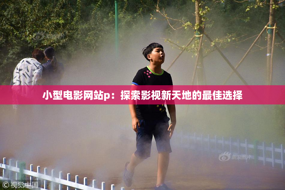 小型电影网站p：探索影视新天地的最佳选择
