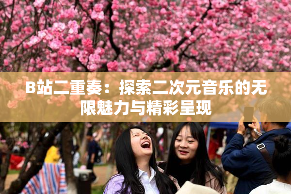 B站二重奏：探索二次元音乐的无限魅力与精彩呈现