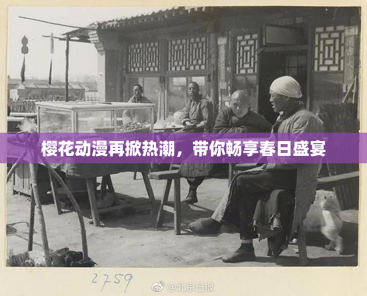 樱花动漫再掀热潮，带你畅享春日盛宴