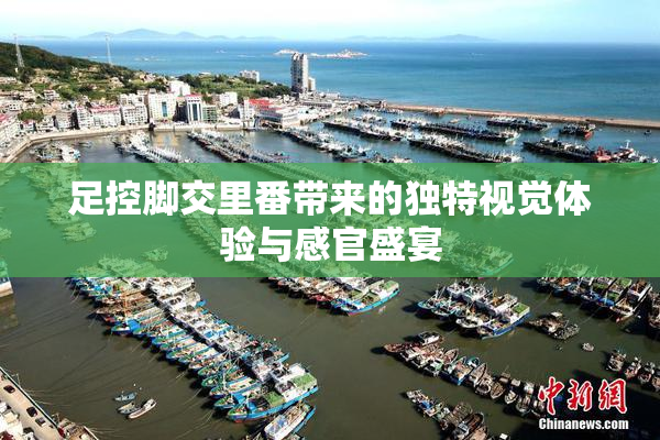 足控脚交里番带来的独特视觉体验与感官盛宴