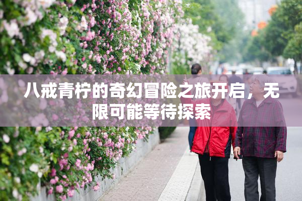 八戒青柠的奇幻冒险之旅开启，无限可能等待探索