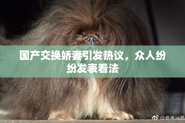 国产交换娇妻引发热议，众人纷纷发表看法