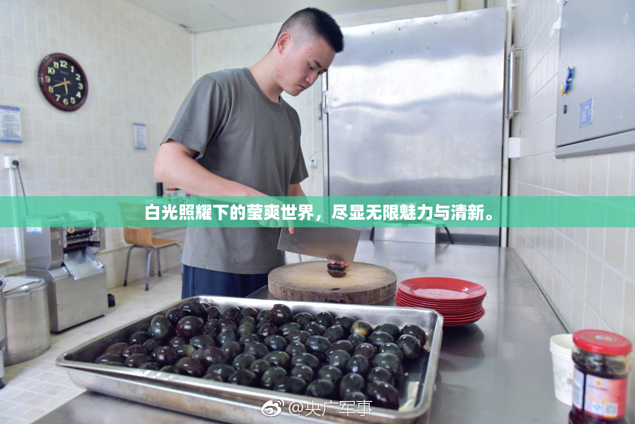 白光照耀下的莹爽世界，尽显无限魅力与清新。
