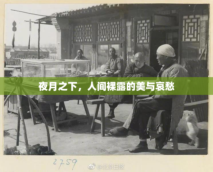 夜月之下，人间裸露的美与哀愁