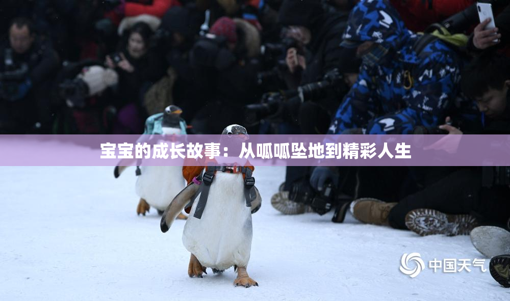 宝宝的成长故事：从呱呱坠地到精彩人生