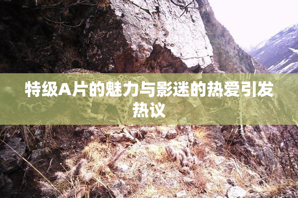 特级A片的魅力与影迷的热爱引发热议