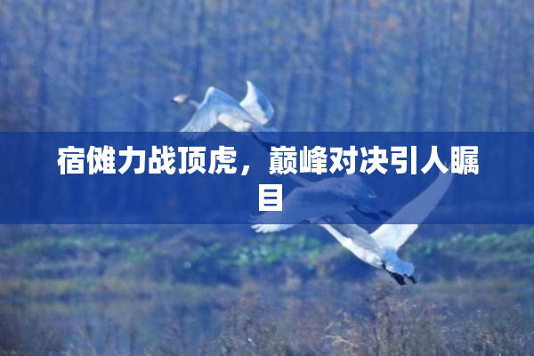 宿傩力战顶虎，巅峰对决引人瞩目