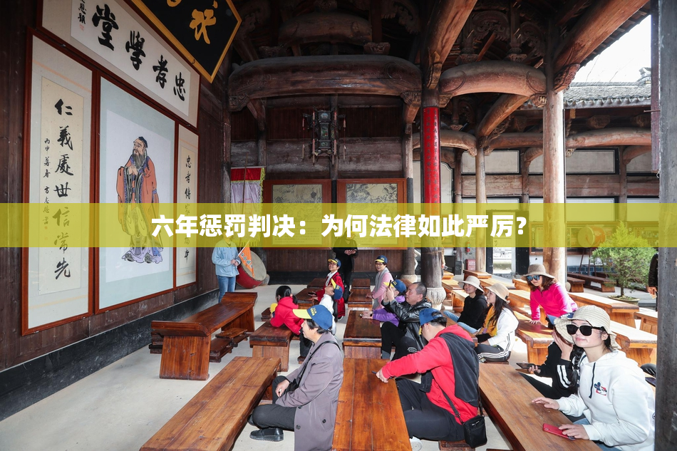 六年惩罚判决：为何法律如此严厉？