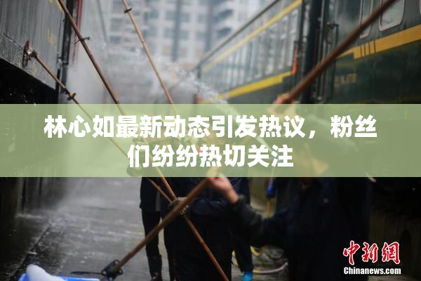 林心如最新动态引发热议，粉丝们纷纷热切关注