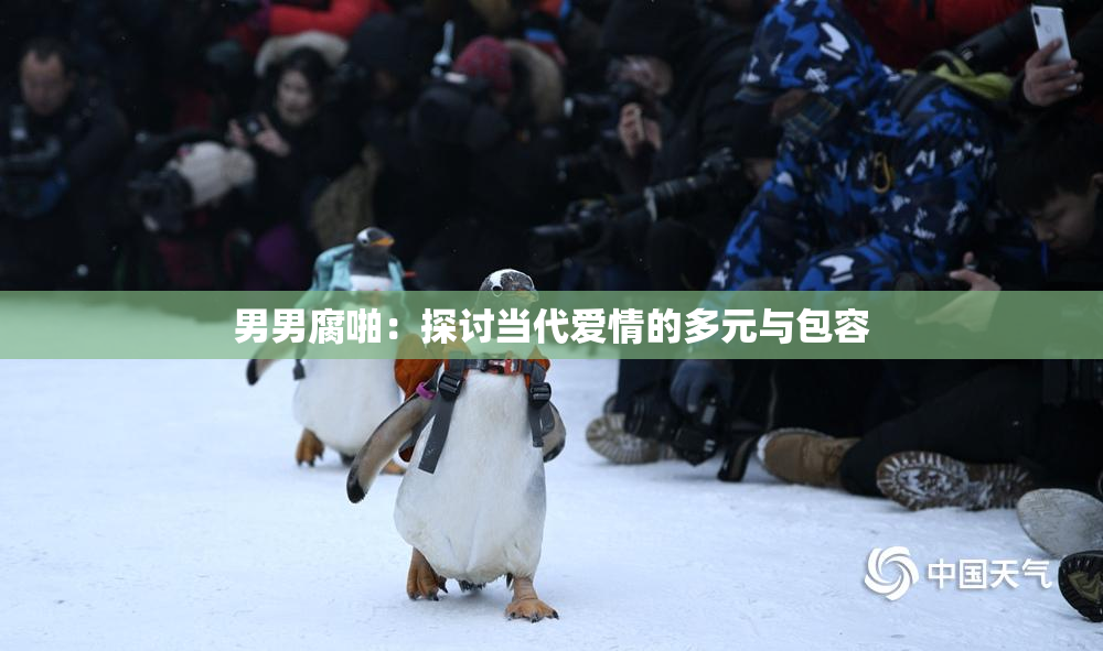 男男腐啪：探讨当代爱情的多元与包容