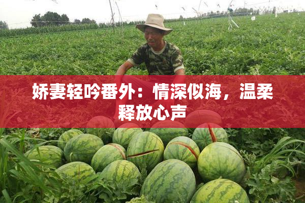 娇妻轻吟番外：情深似海，温柔释放心声