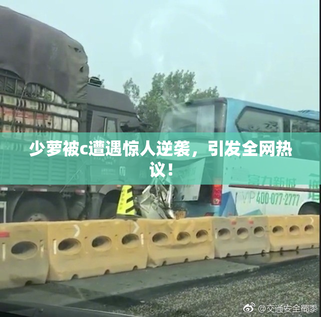 少萝被c遭遇惊人逆袭，引发全网热议！