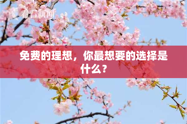 免费的理想，你最想要的选择是什么？