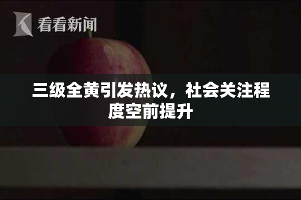 三级全黄引发热议，社会关注程度空前提升