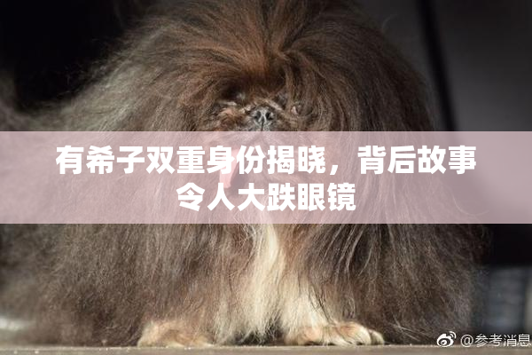 有希子双重身份揭晓，背后故事令人大跌眼镜
