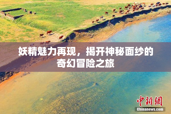 妖精魅力再现，揭开神秘面纱的奇幻冒险之旅