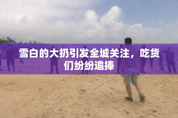 雪白的大扔引发全城关注，吃货们纷纷追捧