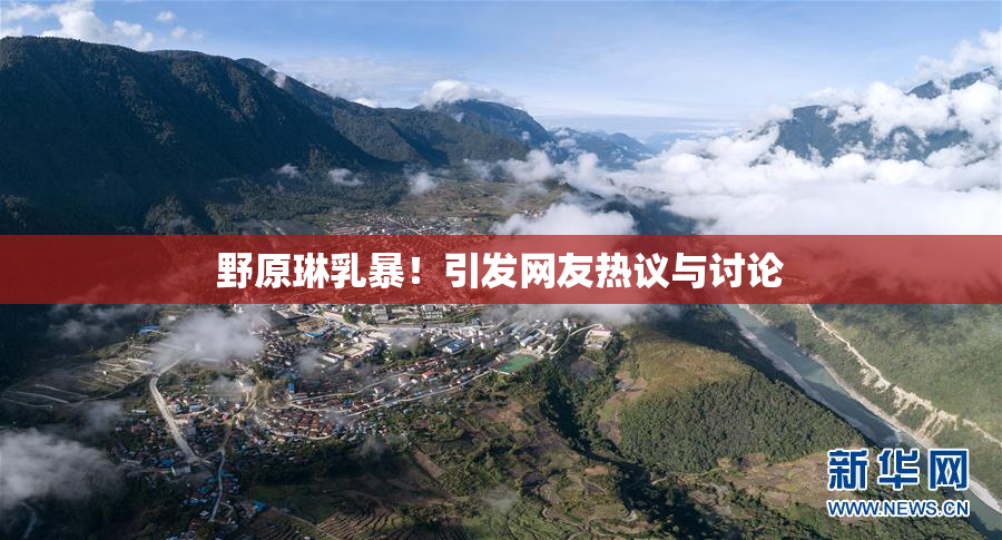 野原琳乳暴！引发网友热议与讨论
