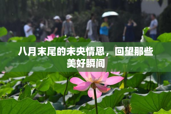 八月末尾的未央情思，回望那些美好瞬间