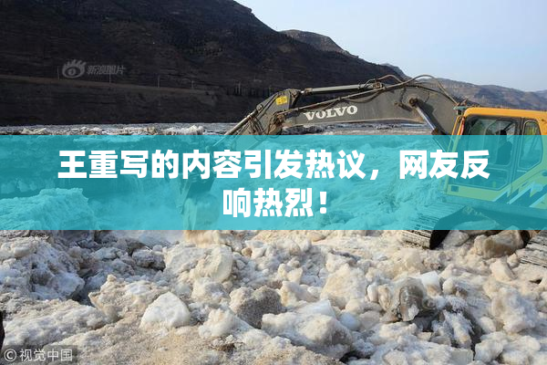 王重写的内容引发热议，网友反响热烈！