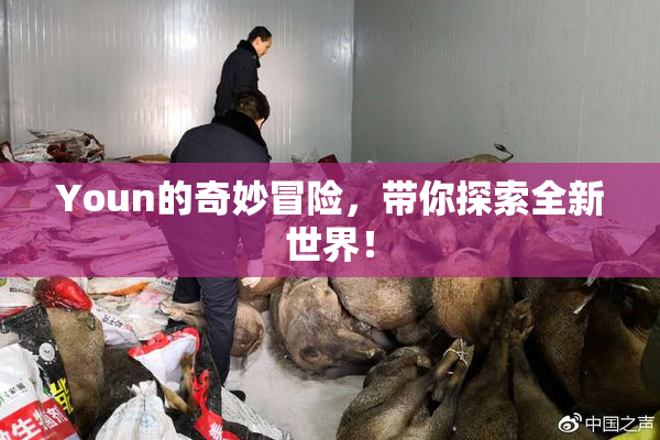 Youn的奇妙冒险，带你探索全新世界！