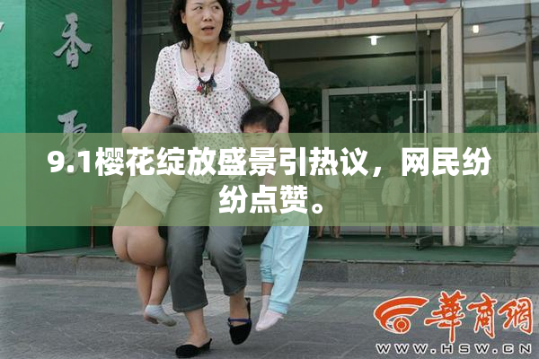 9.1樱花绽放盛景引热议，网民纷纷点赞。