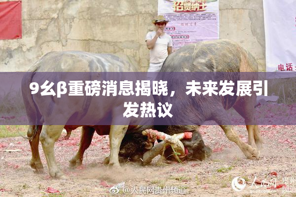 9幺β重磅消息揭晓，未来发展引发热议