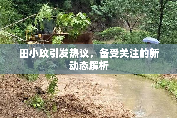 田小玟引发热议，备受关注的新动态解析