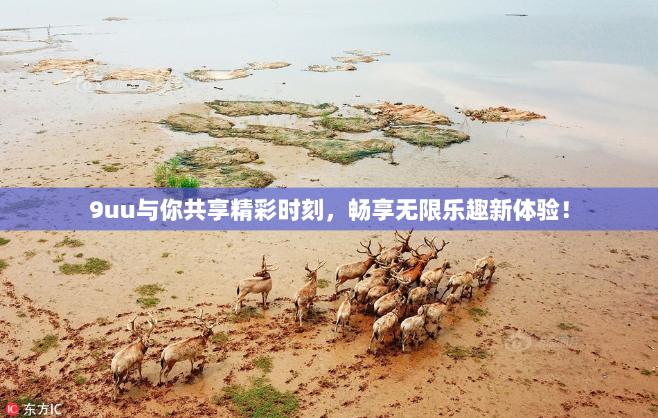 9uu与你共享精彩时刻，畅享无限乐趣新体验！