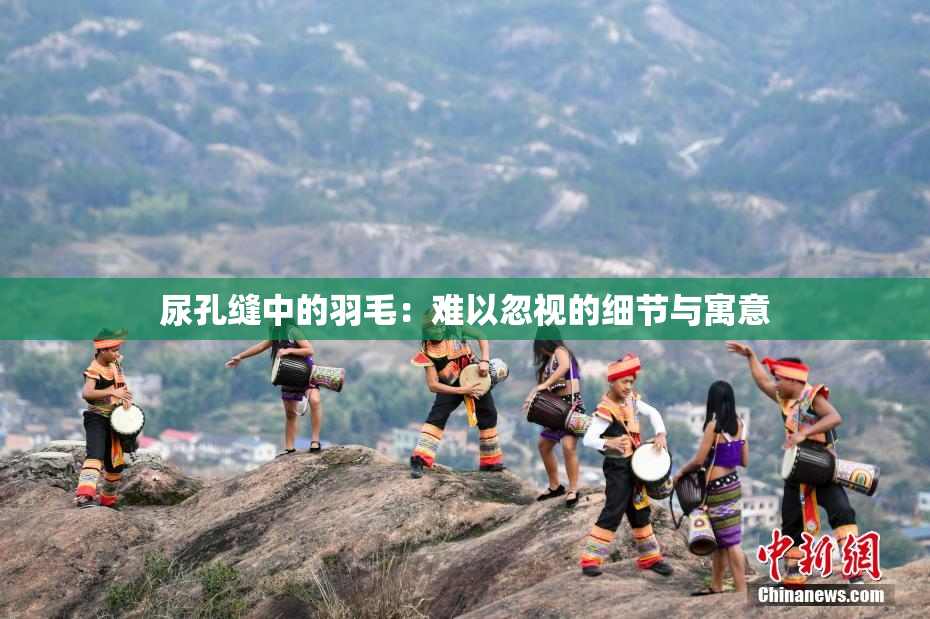 尿孔缝中的羽毛：难以忽视的细节与寓意