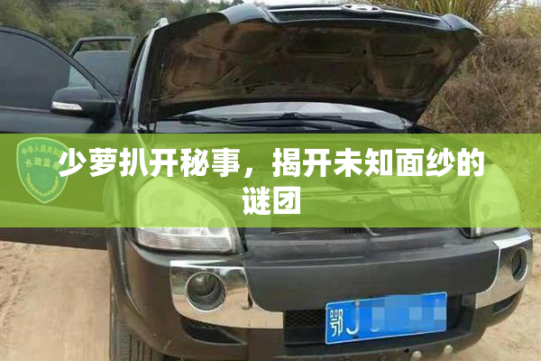 少萝扒开秘事，揭开未知面纱的谜团