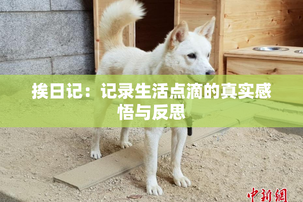 挨日记：记录生活点滴的真实感悟与反思