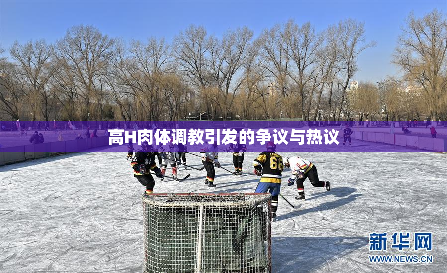 高H肉体调教引发的争议与热议