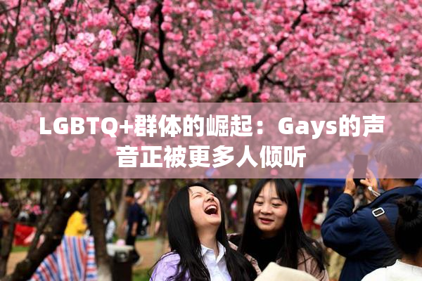 LGBTQ+群体的崛起：Gays的声音正被更多人倾听