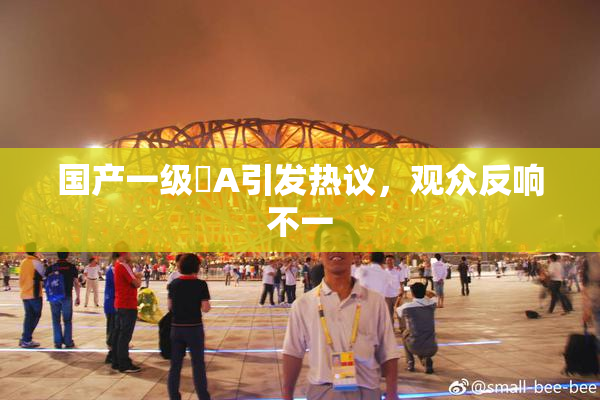 国产一级婬A引发热议，观众反响不一