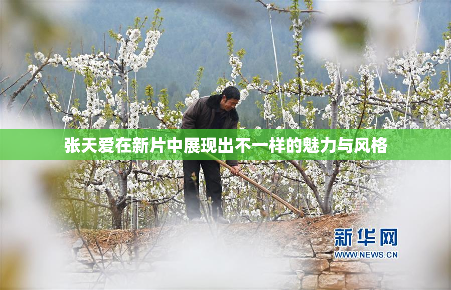 张天爱在新片中展现出不一样的魅力与风格