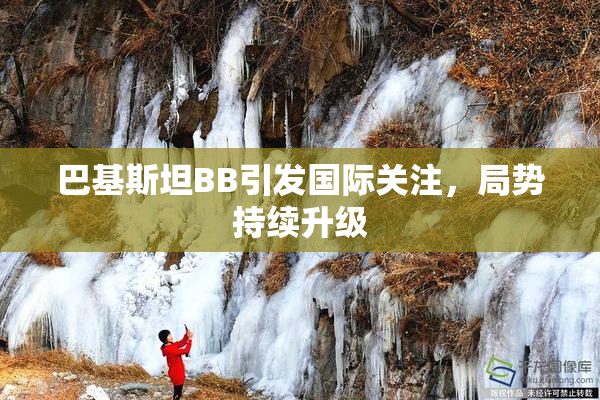 巴基斯坦BB引发国际关注，局势持续升级
