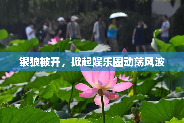 银狼被开，掀起娱乐圈动荡风波