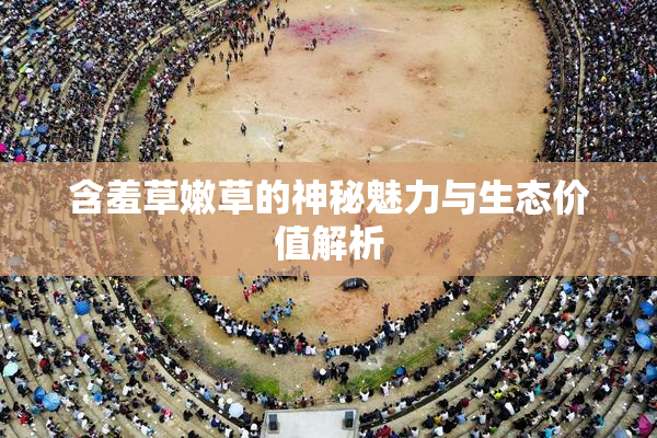 含羞草嫩草的神秘魅力与生态价值解析