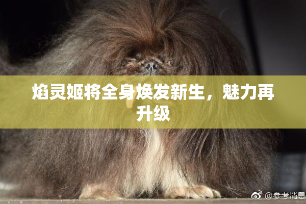 焰灵姬将全身焕发新生，魅力再升级