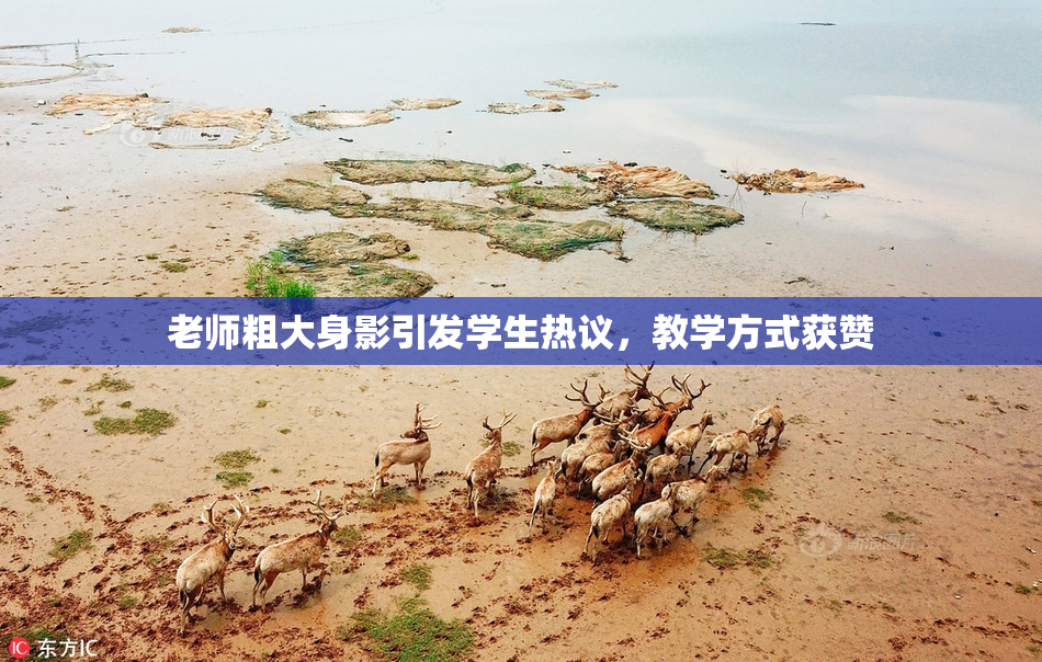 老师粗大身影引发学生热议，教学方式获赞