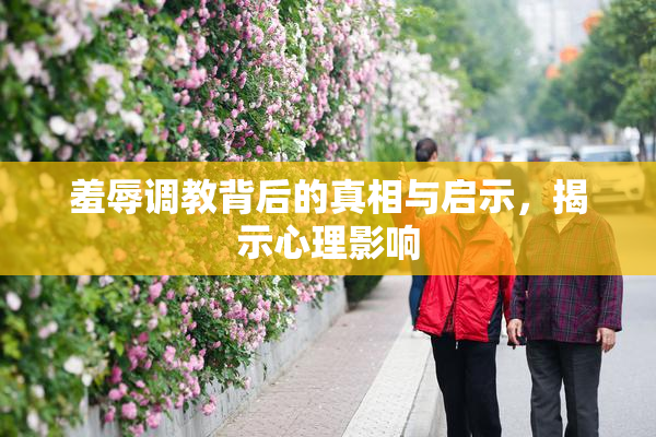 羞辱调教背后的真相与启示，揭示心理影响