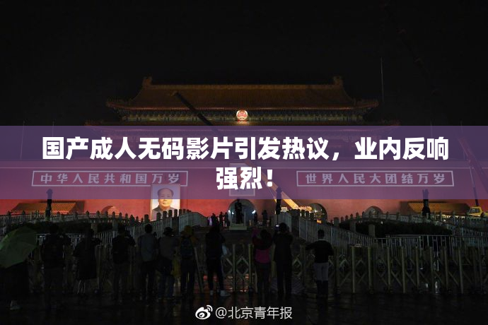 国产成人无码影片引发热议，业内反响强烈！