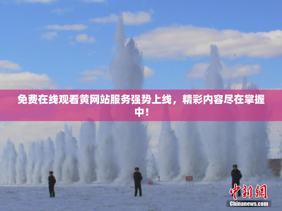 免费在线观看黄网站服务强势上线，精彩内容尽在掌握中！