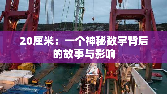 20厘米：一个神秘数字背后的故事与影响