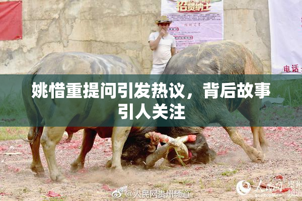 姚惜重提问引发热议，背后故事引人关注